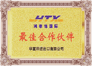 中港運(yùn)輸最佳伙伴